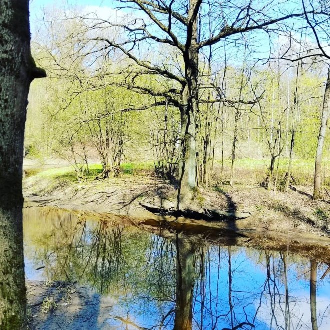 Ранняя весна - Зоя