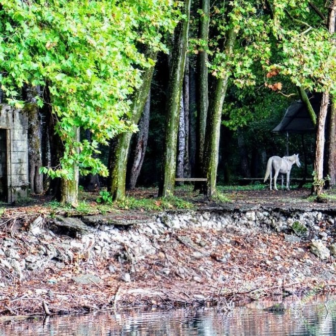 Путешествие по Абхазии - Екатерина (1/4)