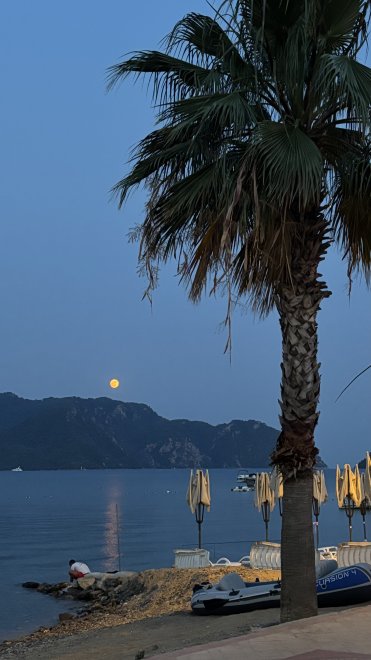 Море - Арина Сорокина (1/5)