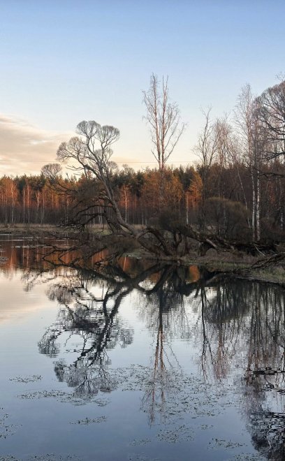 Взгляд в зазеркалье - Яна