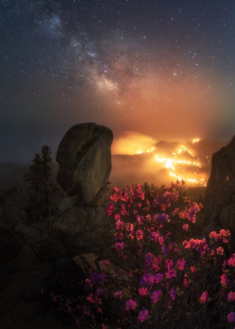 Жизнь и смерть - Антон Комлев