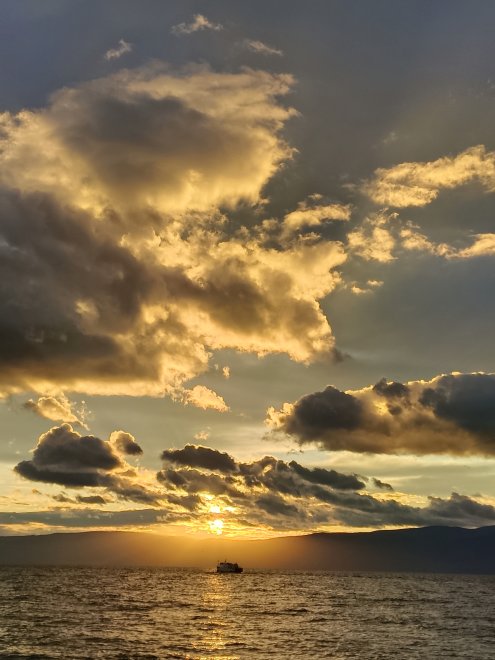 Солнцу на встречу -  