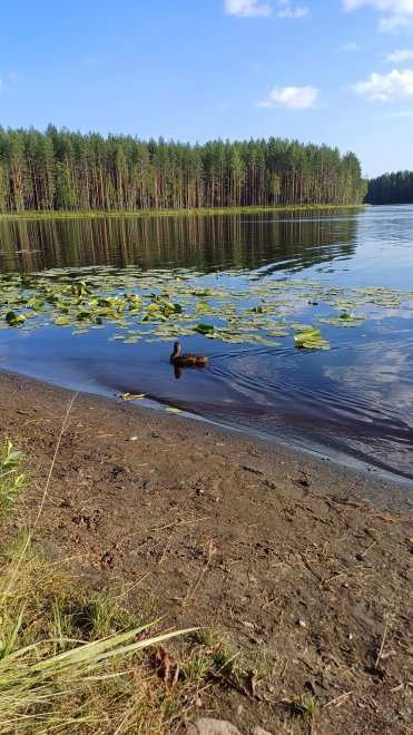 Водоемы Карелии - Дина