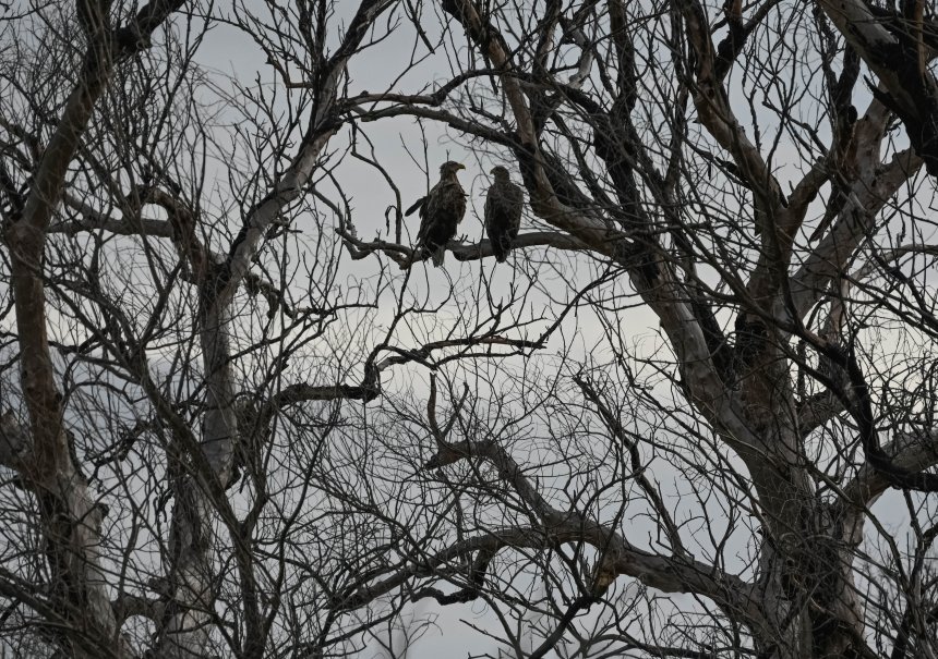Разговор по душам - Сергей