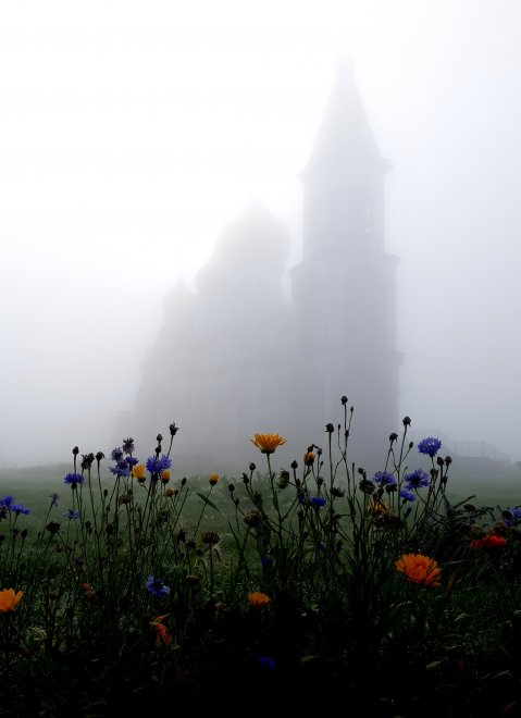 Утро туманно5 - Алёна (1/4)