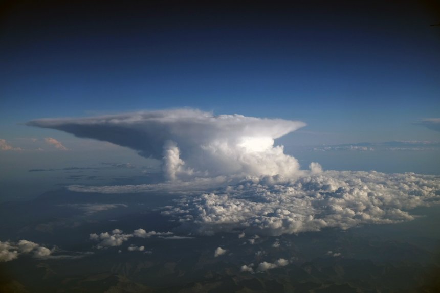 Небесный грибок - cr64@mail.ru