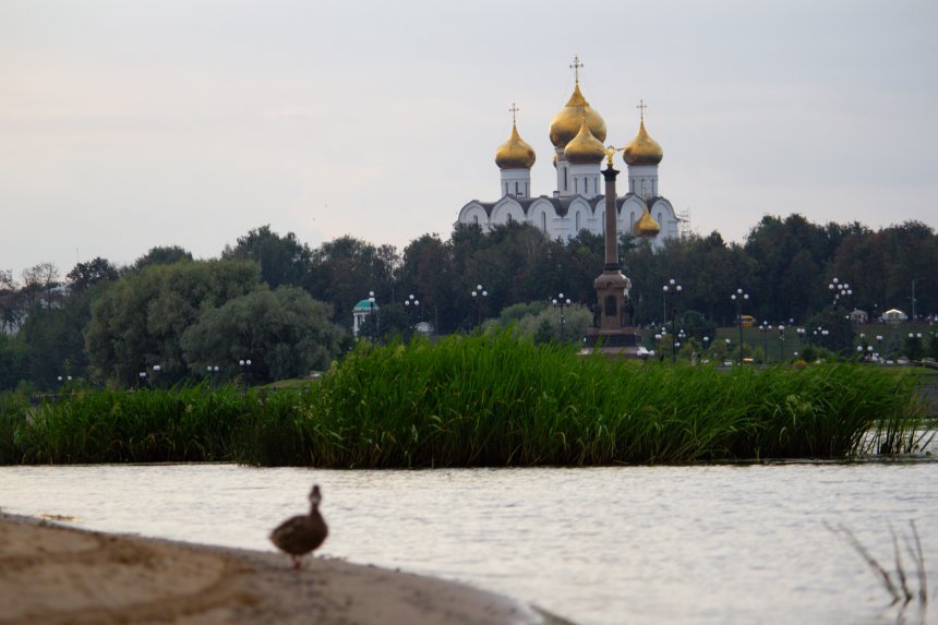 Она наблюдает за тобой.. -  