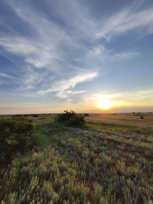 Закат в степи -  