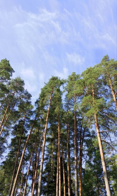 Сплав по реке Судогда - Диана Спиридонова (1/8)