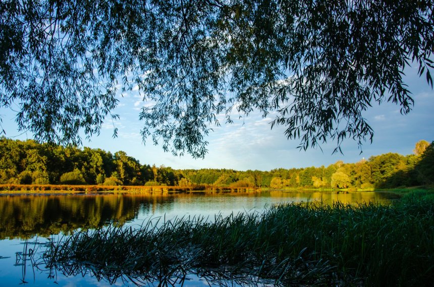 Осенний закат на озере - Галина Ложечникова