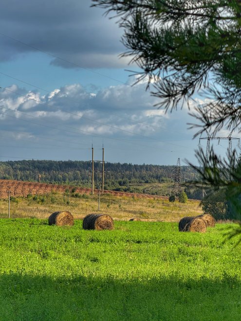 Живая осень - Полина