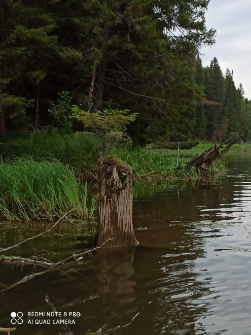 Рыбалка на р. Кама Пермский край -   (1/3)