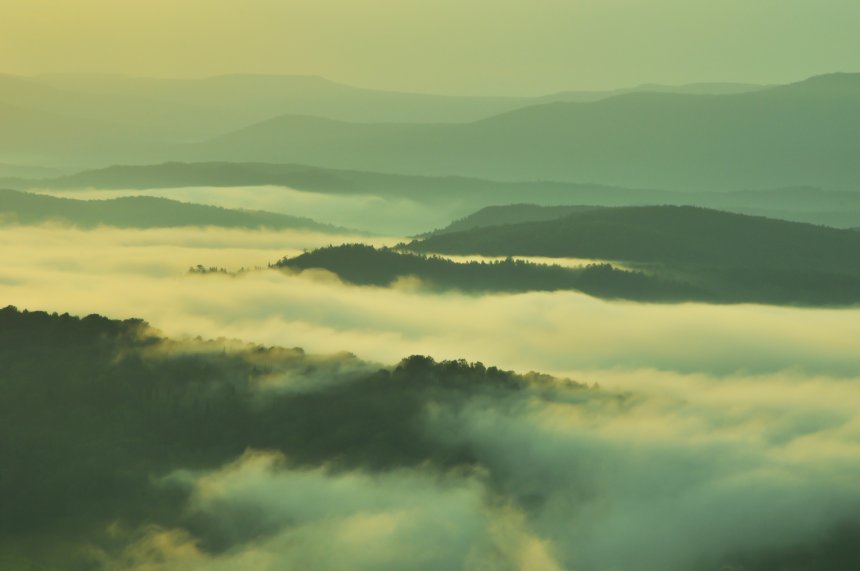Рождение тумана - Вера Давлетшина