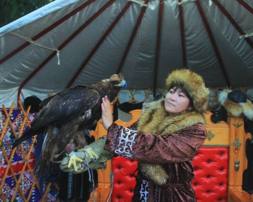 Дочь степей - Гульмира