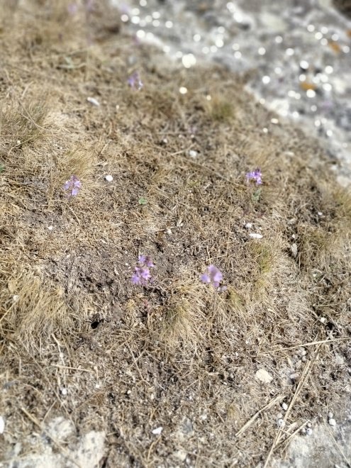 Крым - любовь навсегда! - Оксана (1/7)