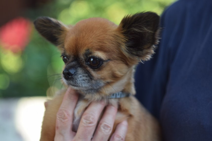 На даче - Олег Демин