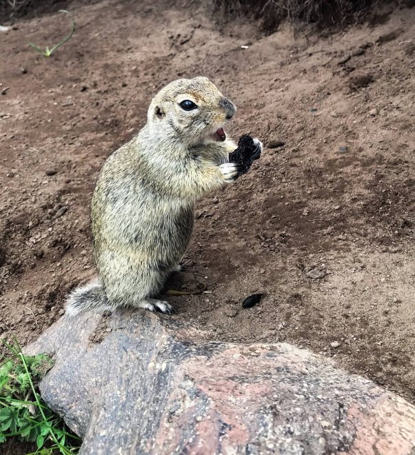 Финиковое настроение - Наталья Спицына