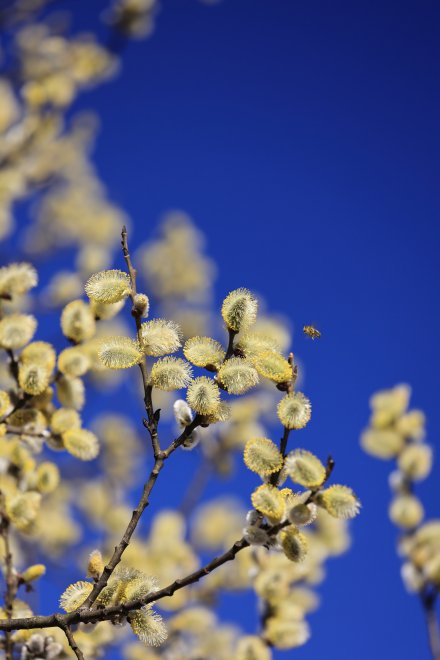 Рабочее утро - Евгений Ковальский