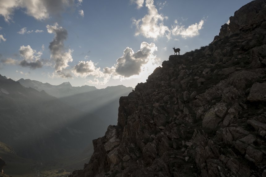 На закате - Эльмира