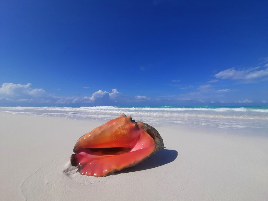 Красоты острова Кайо Круз -  