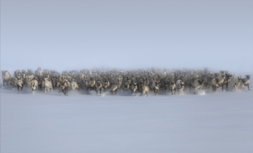 Лавина - Александр Чазов