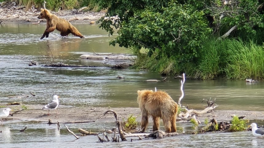 Мохнатая дружба - Ольга