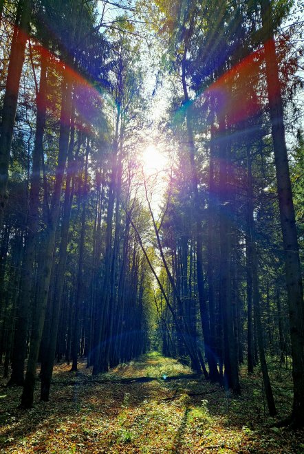 А ты любишь Солнце? - Екатерина