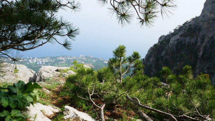 1234 Над уровнем моря. - Татьяна Михайловна Новикова