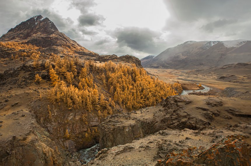 Долина реки Аккол - Елена Павлова