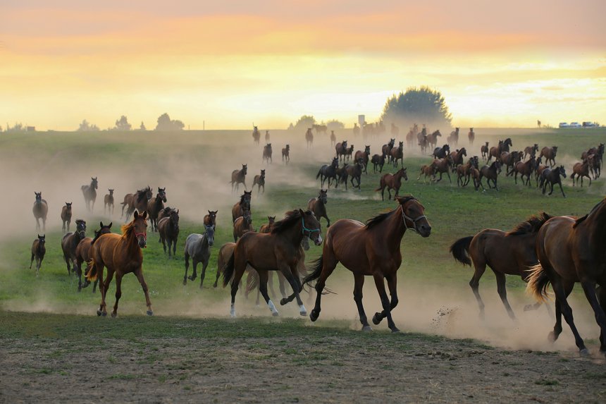 Догоняя рассвет -  