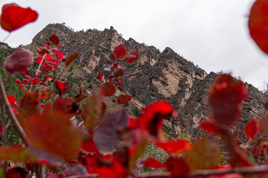 Осенний Дагестан - Полина Кушнерова (1/8)