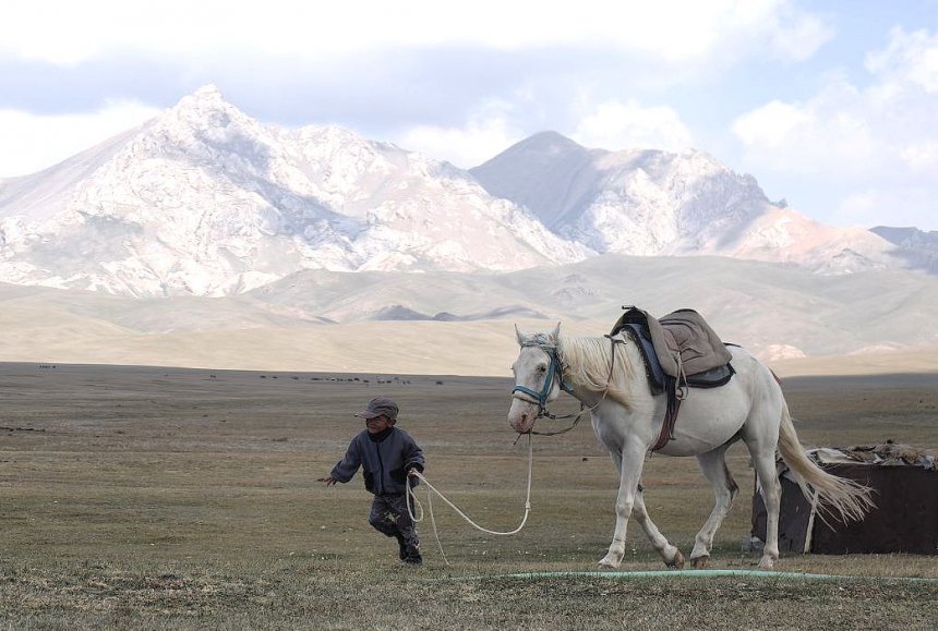 Владелец лошади / Horse owner -  