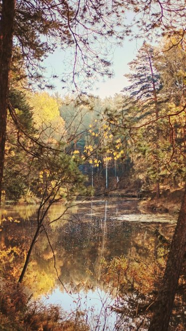 Озёрная крошка -  