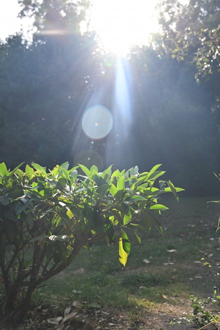 Если вы думаете, что знаете Крым, точнее его жемчужину Алупку… - Вячеслав Лукин (1/8)