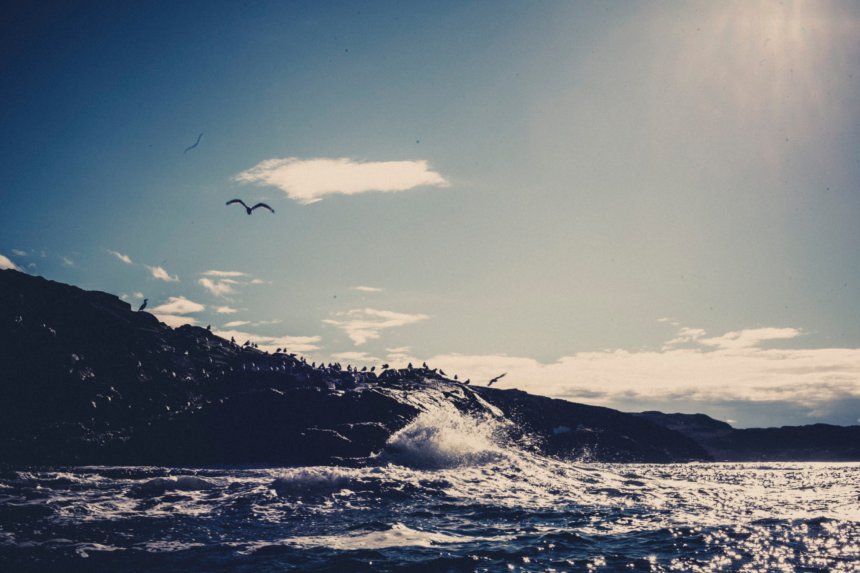 Териберка: край земли - Александра