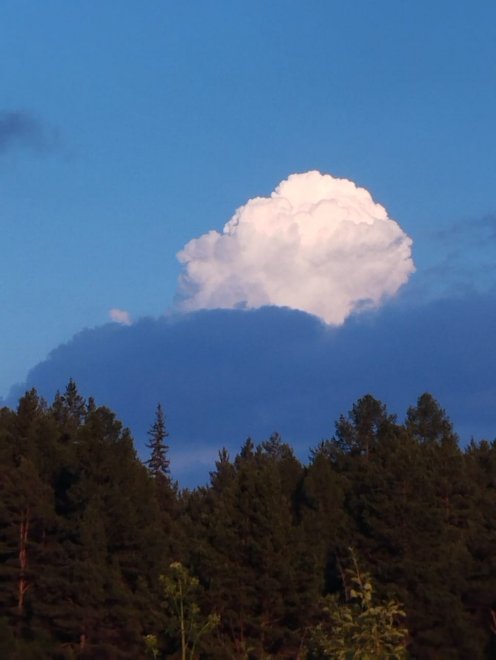 Когда ты не такой как все. - Алевтина Онопко