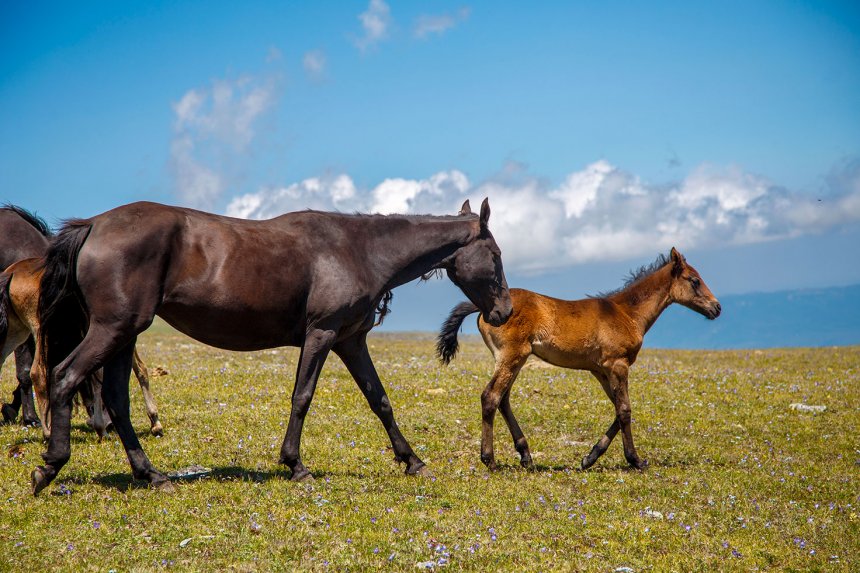 Связь поколений -  