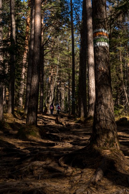 Манящие скалы - Наталья Сташкевич (1/8)