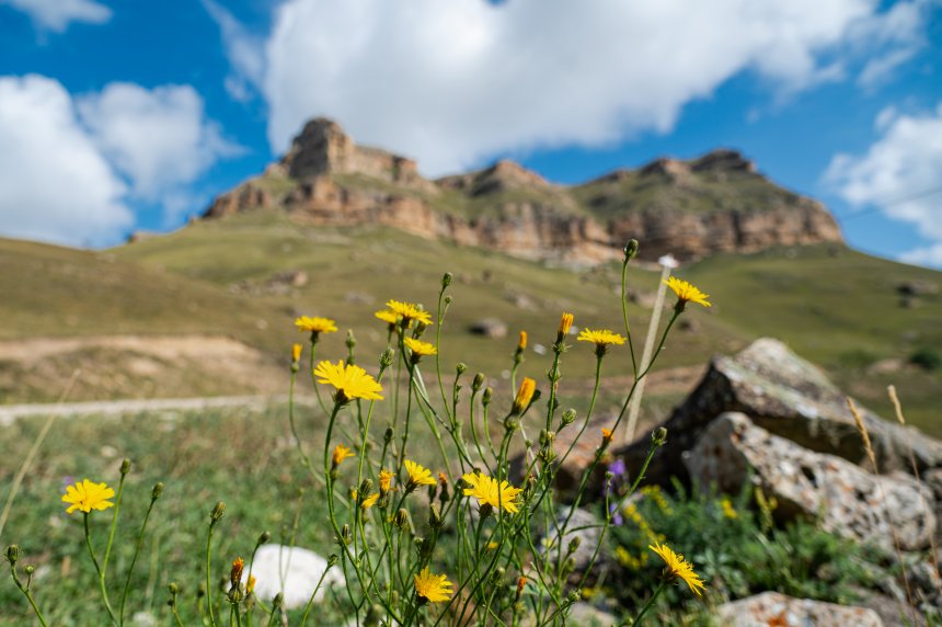 Там, где встречаются земля и небо - Алексей (1/8)