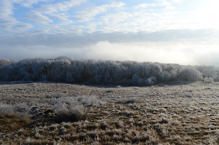 Облако ползет по земле и превращает дневной свет в таинственную мглу -   (1/4)
