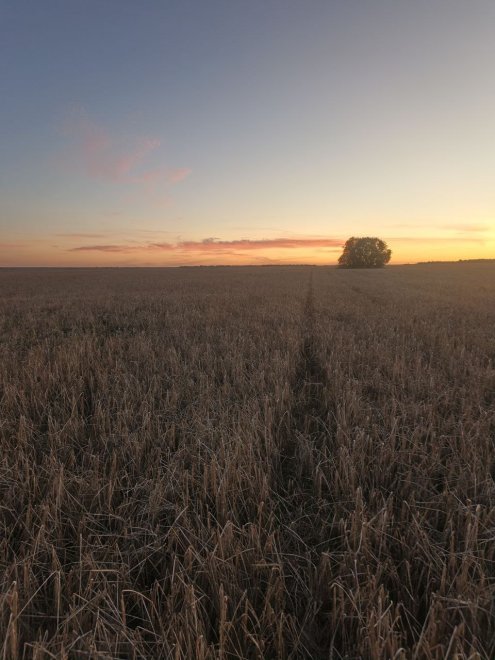 закат - Людмила