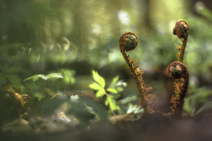 Пробуждение - Мария Обидина