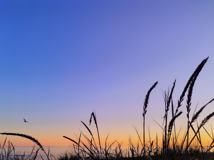 Закат на Финском заливе -  