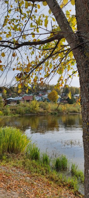 Плёс, золотая осень - Екатерина Холодова