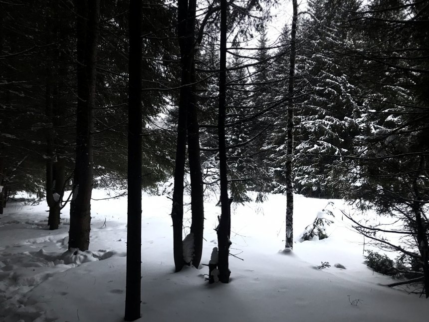 гибернация -  