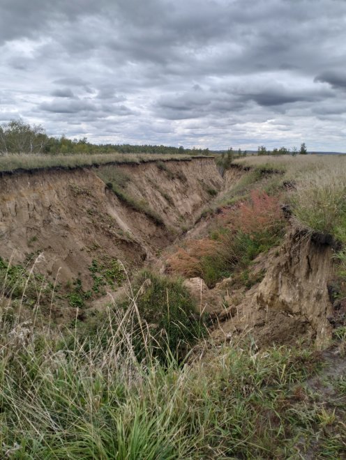 Берег Драверта - Восхождение - Лилия (1/3)
