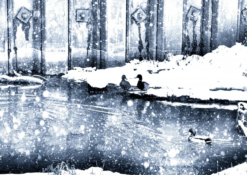 Прохожий - Екатерина