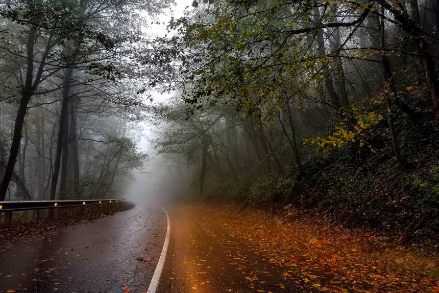 Дорога в осень - Максим