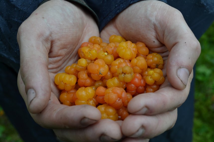 Карельские будни - Светлана (1/3)