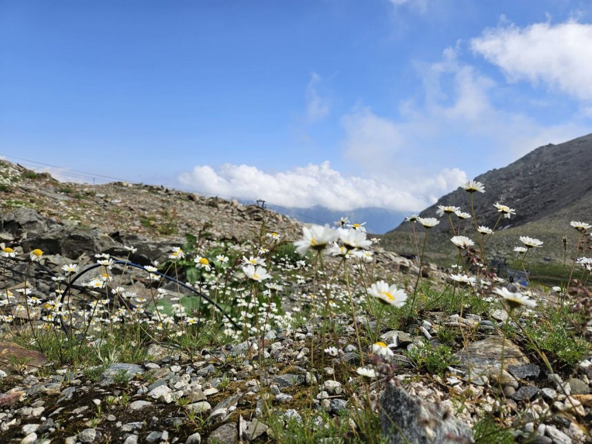 Домбай - Ирина (1/8)